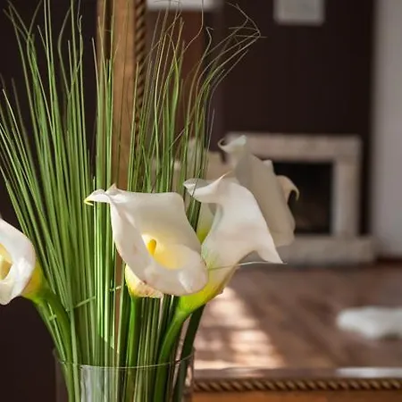 Apartment Palace 3br Zadar